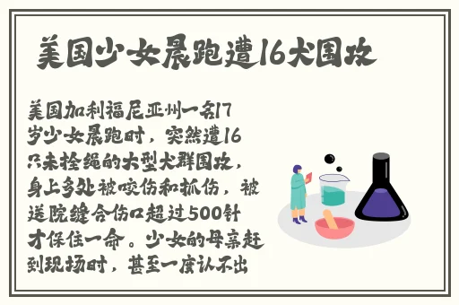 中国成熟iphone2D